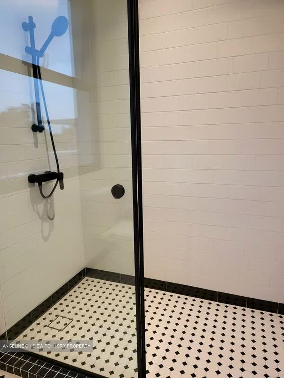 Holland Rise (D10), Apartment #534234931